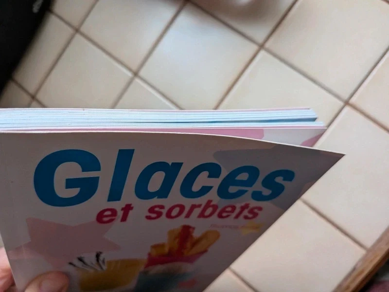 Libro de recetas de helados y sorbetes – photo 7